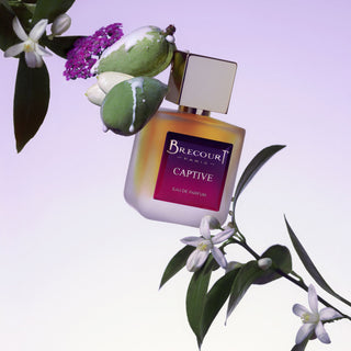 Captive con Coffret - Brecourt