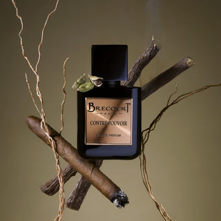 Contre Pouvoir - Brecourt