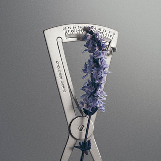 Iris Debonair - Creed