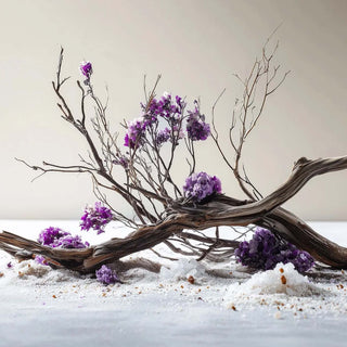 Bois Flotté - Chambre52