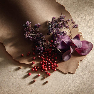 Cuir à Corps - Chambre52