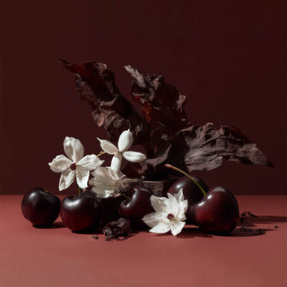 Tobacco Memories Extrait - Chambre52