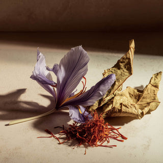 Tobacco Memories - Chambre52