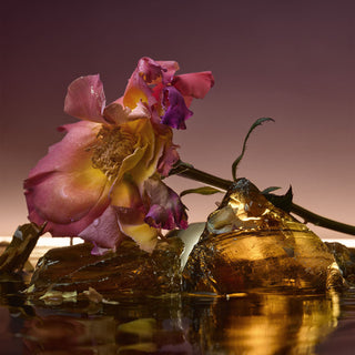 Rose Blaze Extrait de Parfum - D'Orsay