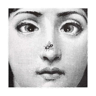 Cuscino Ape - Fornasetti