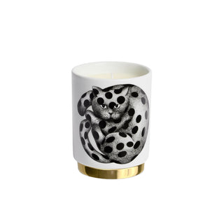 Hight Fidelity a Pois Candela Immaginazione - Fornasetti