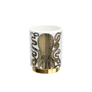 Polipo Candela Fragranza Immaginazione - Fornasetti