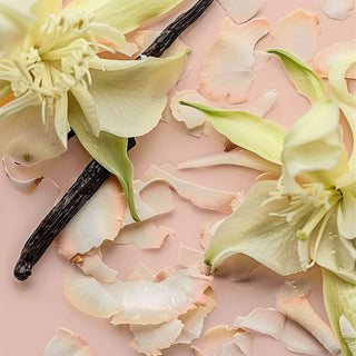 Vanilla Blush - L'atelier Parfum
