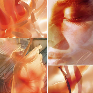 Vanilla Blush - L'atelier Parfum