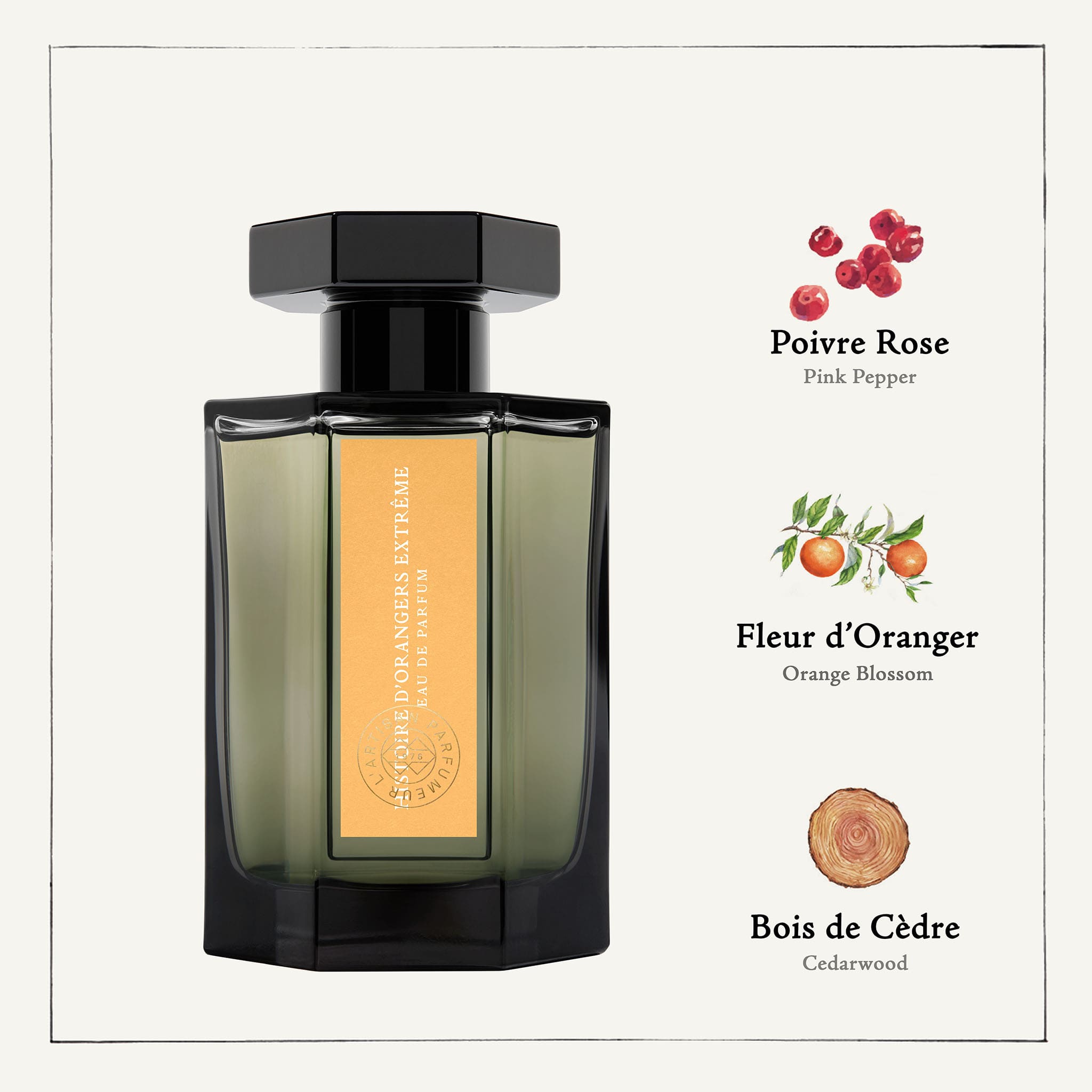 Histoire D'Orangers Extrême - L'Artisan Parfumeur – Campomarzio70