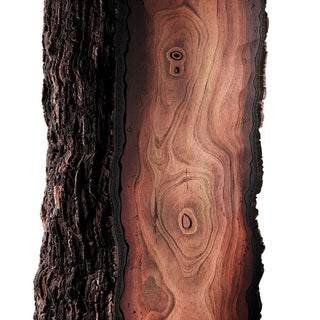 Bois D'Ébène Eau de Parfum - Matiere Premiere