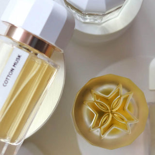 Cotton Musk - Ramon Monegal