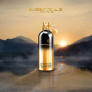 Leather Patchouli - Montale Paris