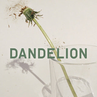 Dandelion - Perfumer H