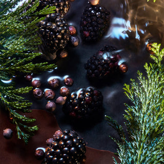 Elysium Noir - Roja Parfums