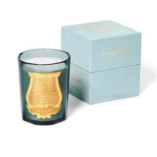 Figuerie Bougie - Trudon