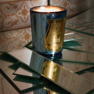 Fir - Trudon