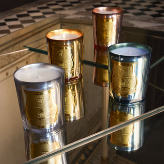 Fir - Trudon