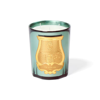Fir - Trudon
