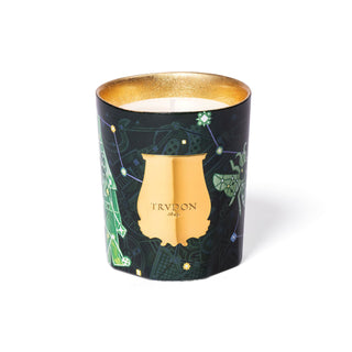 Fir Bougie Natale 2025 - Trudon