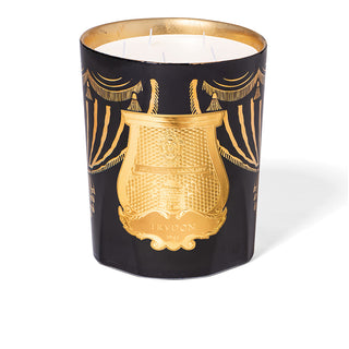 Fir Christmas Bougie 2024 - Trudon