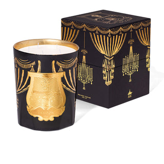 Fir Christmas Bougie 2024 - Trudon