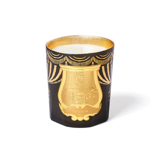 Fir Christmas Bougie 2024 - Trudon