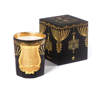 Fir Christmas Bougie 2024 - Trudon