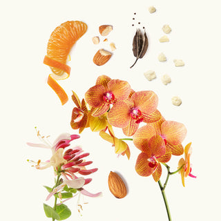 Almond - Widian by AJ Arabia