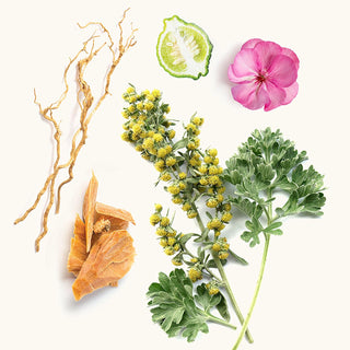 Baniyas - Widian by AJ Arabia