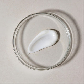 Camellia Sinensis | Nourishing Shampoo - Zenology