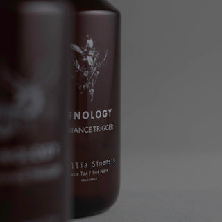 Camellia Sinensis | Spray Ambiente - Zenology