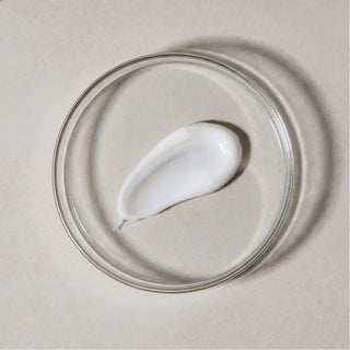 Fycus Sycomorus | Shampoo Nutriente - Zenology