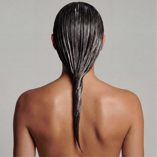 Fycus Sycomorus | Balsamo Rivitalizzante per Capelli - Zenology