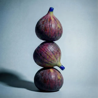 Fycus Sycomorus | Balsamo Rivitalizzante per Capelli - Zenology