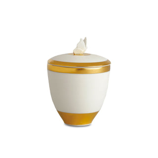 Butterfly Candle - L'Objet - Campomarzio70